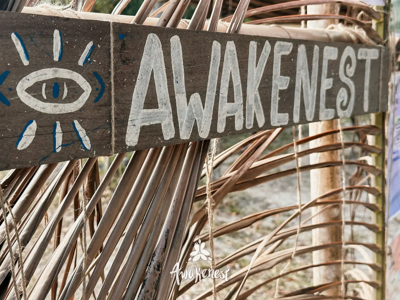 Wooden AWAKENEST sign with eye emblem.