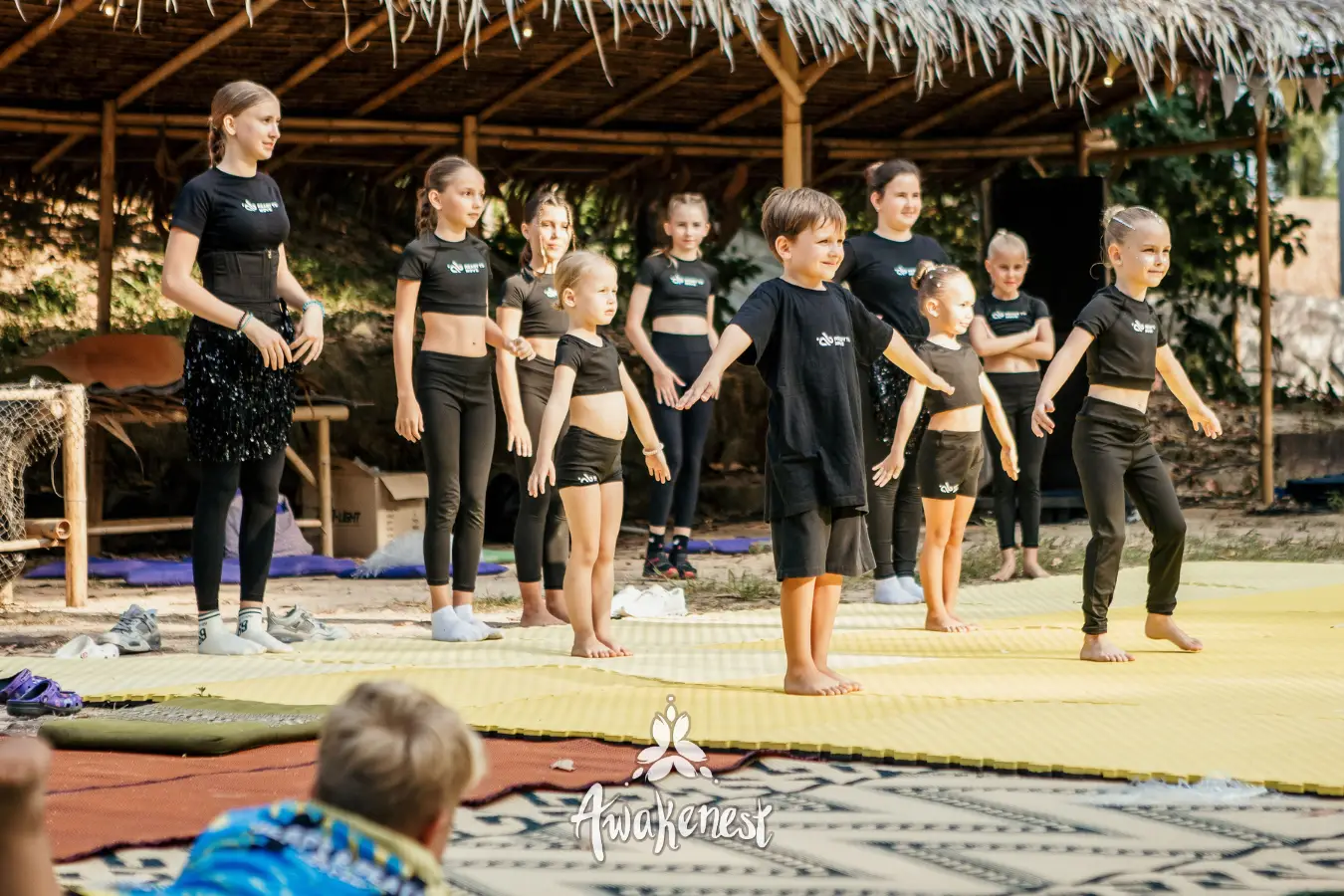 Children's dance troupe lines up on stage.