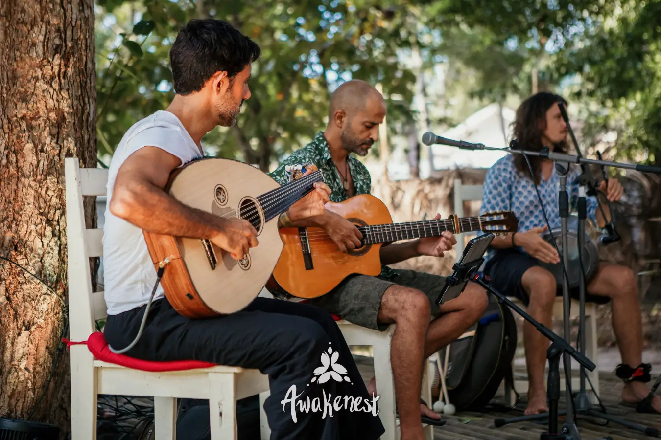 Three musicians play guitars under a tree.