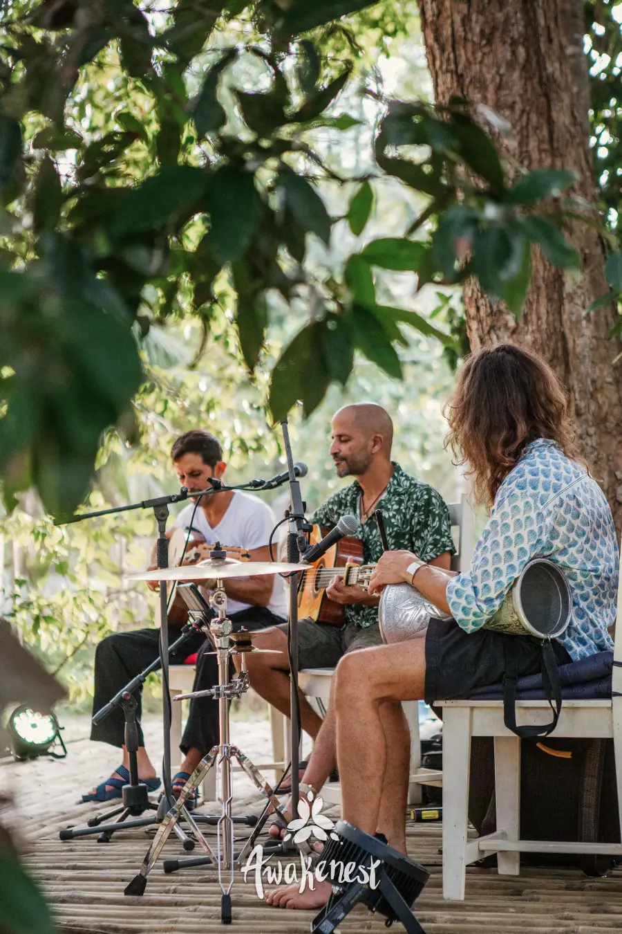 Trio playing guitars in shaded grove.