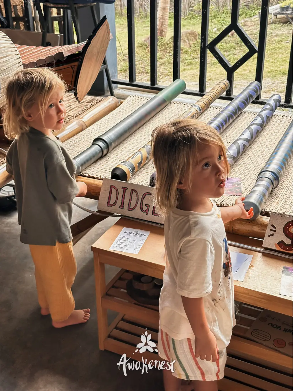 Two children looking at didgeridoos on display.