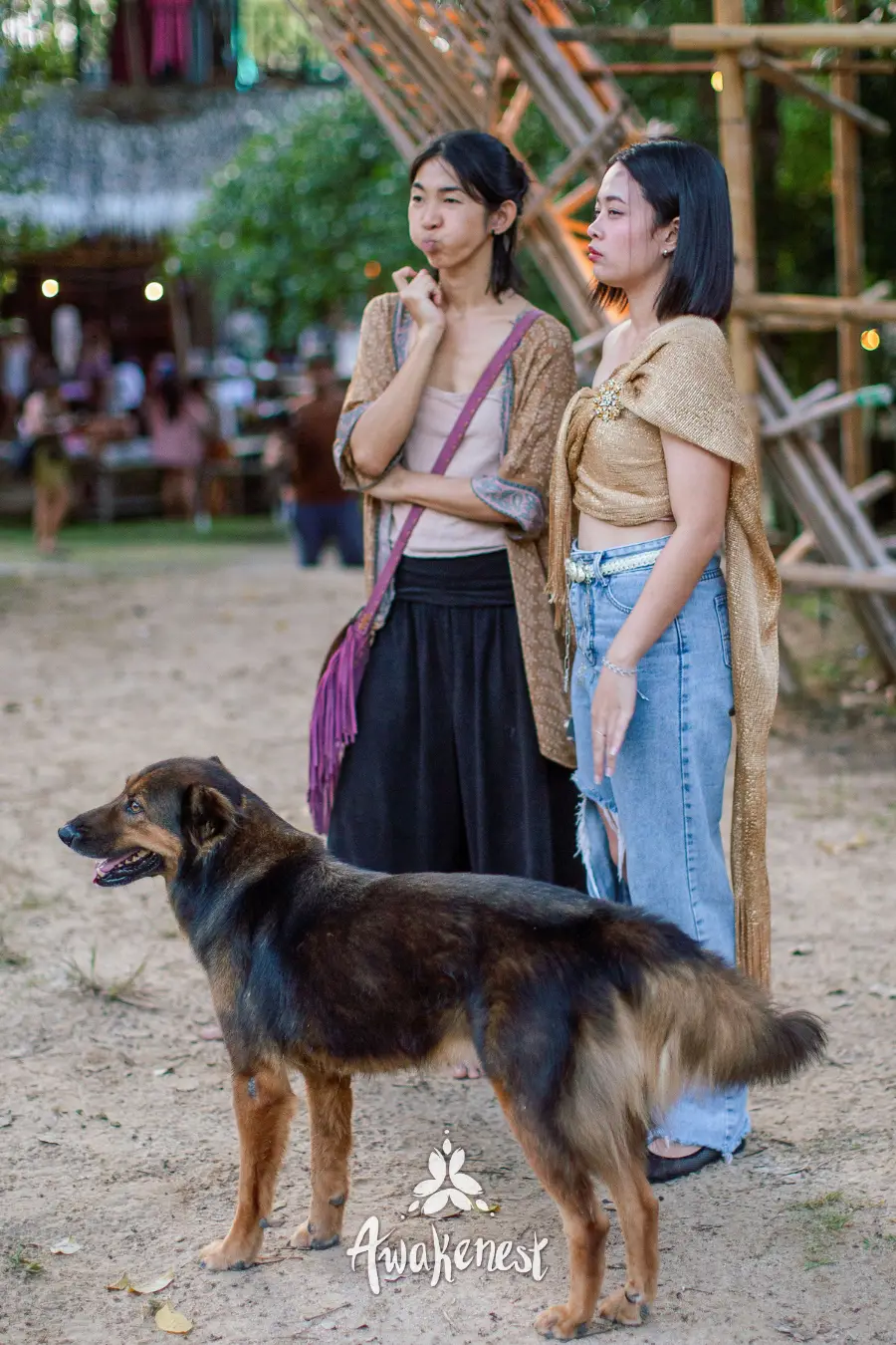 Two women and dog near market stalls.