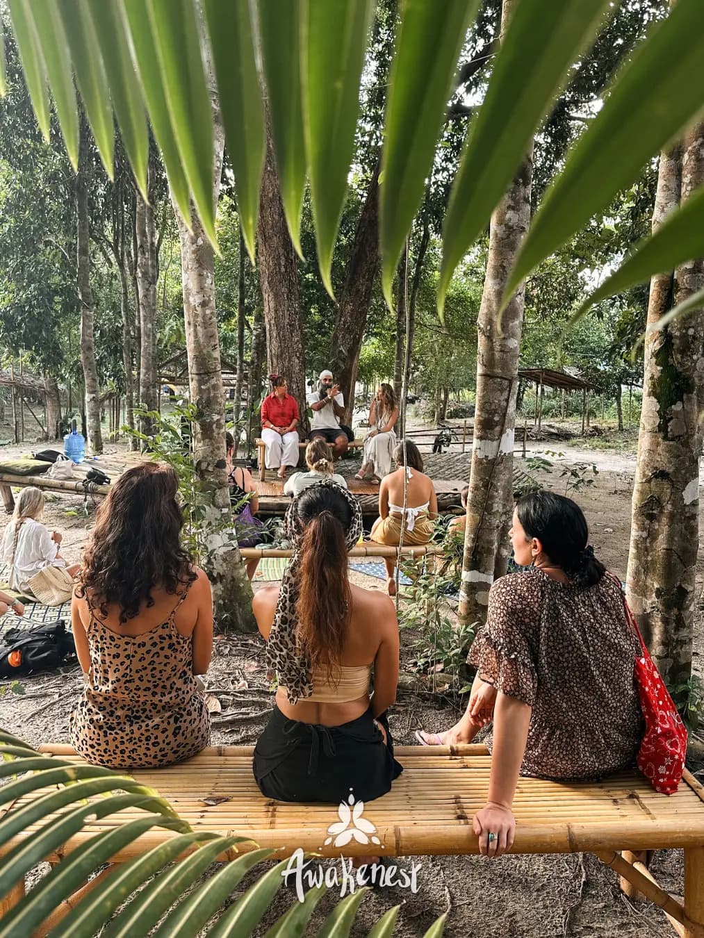 Women seated on bamboo bench among trees.