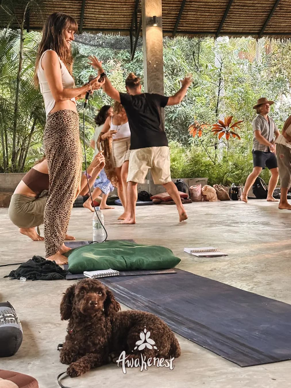 Movement class with dog resting on mat.