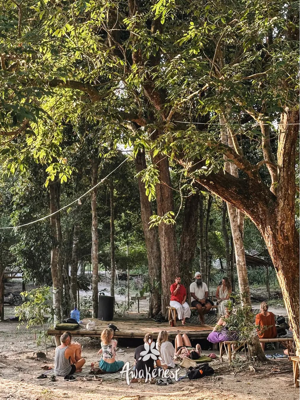 Group gathered under large trees by creek.