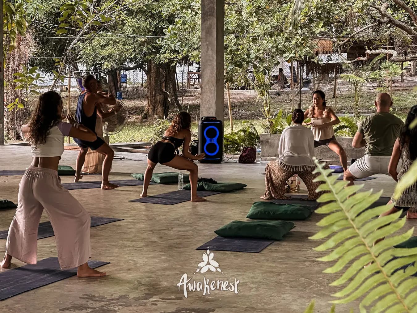 Outdoor yoga class in lunge pose.