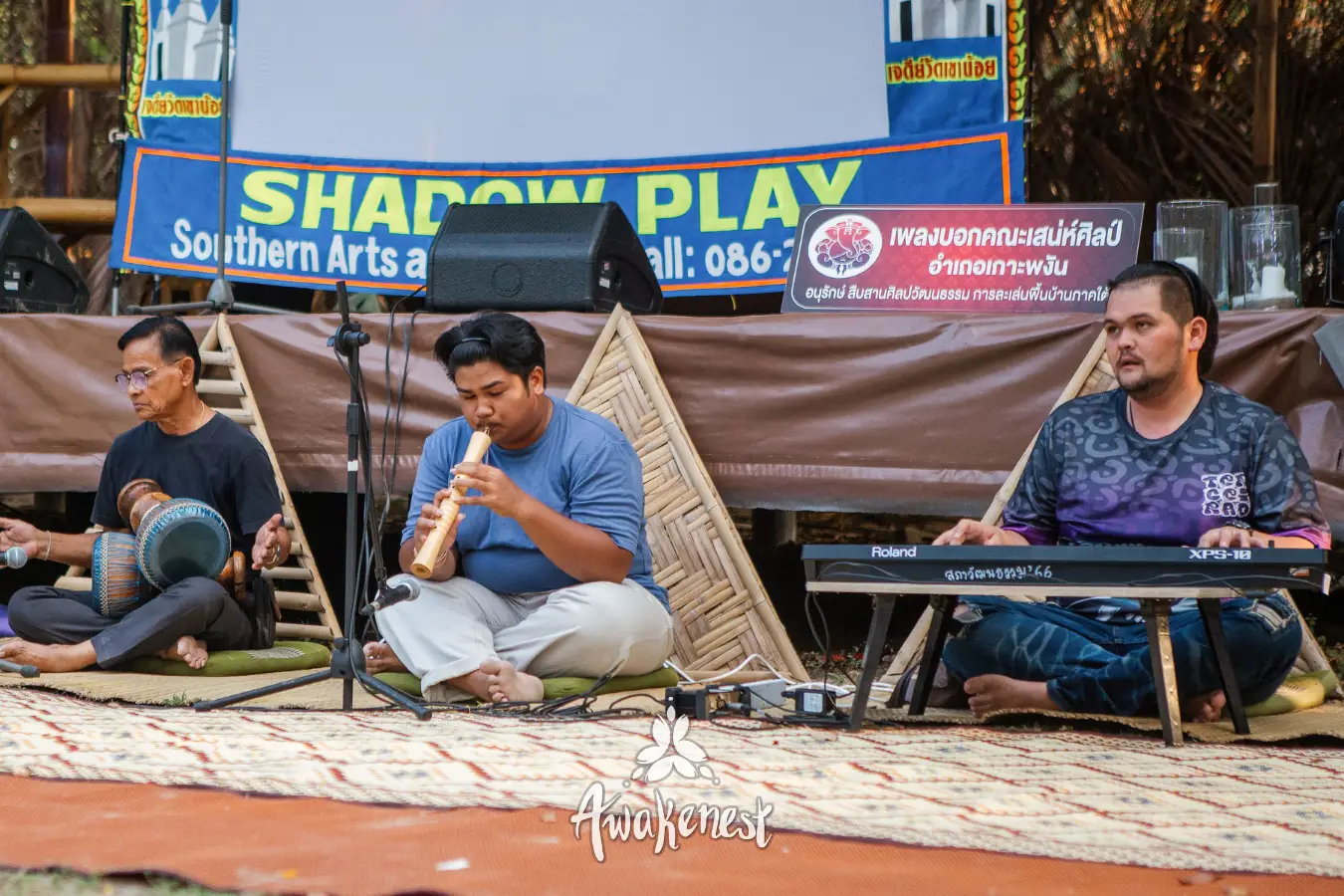 Musicians play traditional instruments at shadow play.
