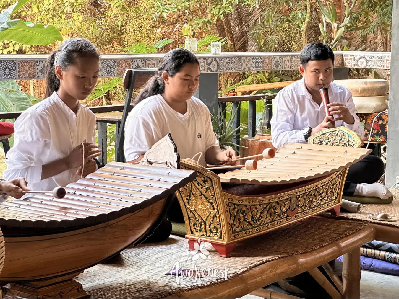 Students playing xylophone and flute outdoors.