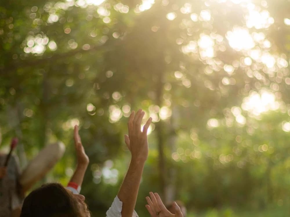 Hands reach towards sunlight filtering through green trees during a shared practice.