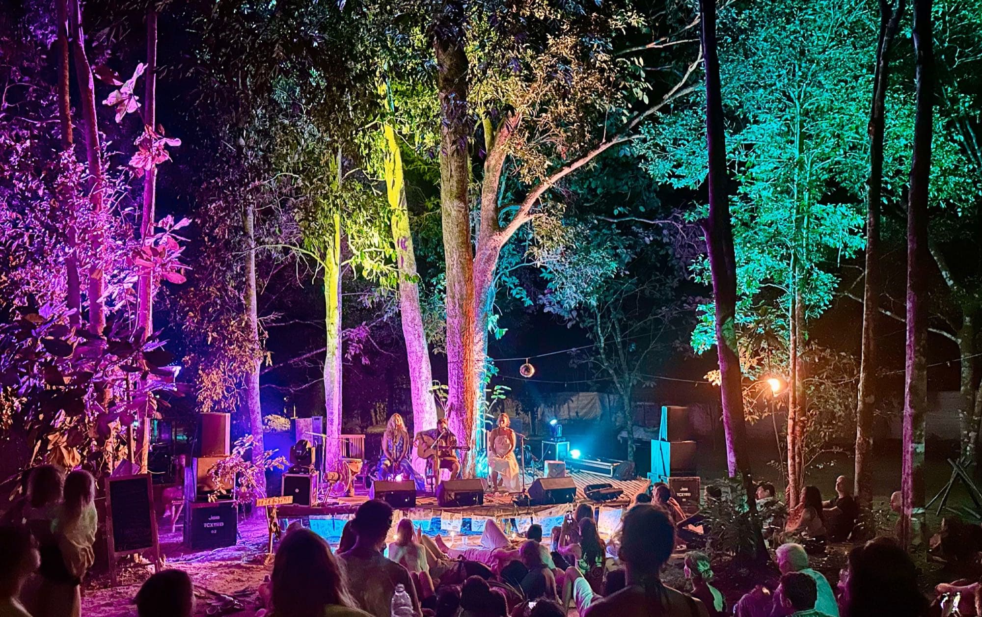 The Tree Stage glowing among the forest at night