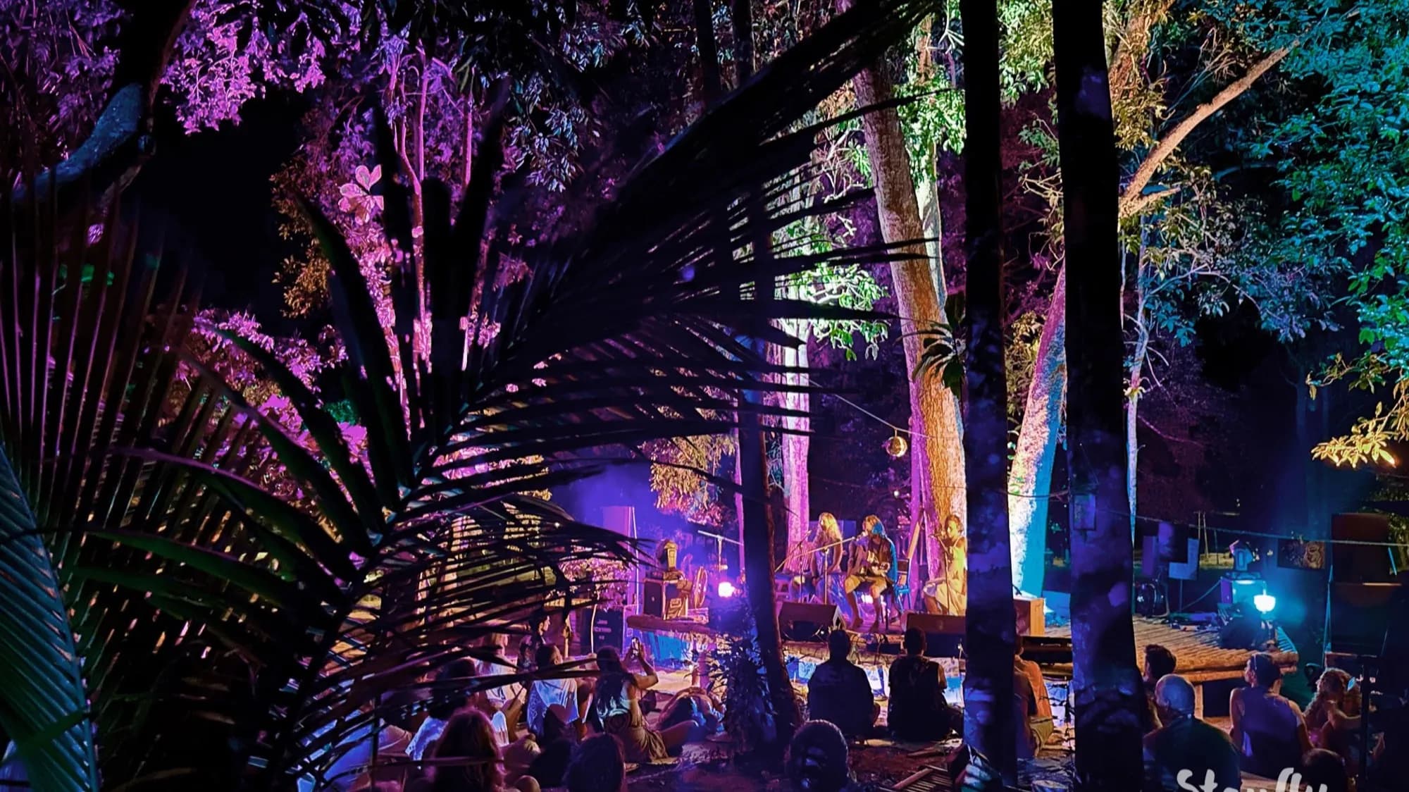 A band playing on a low wooden stage at night, the trees above them lit violet and green, with people sitting on the ground watching.