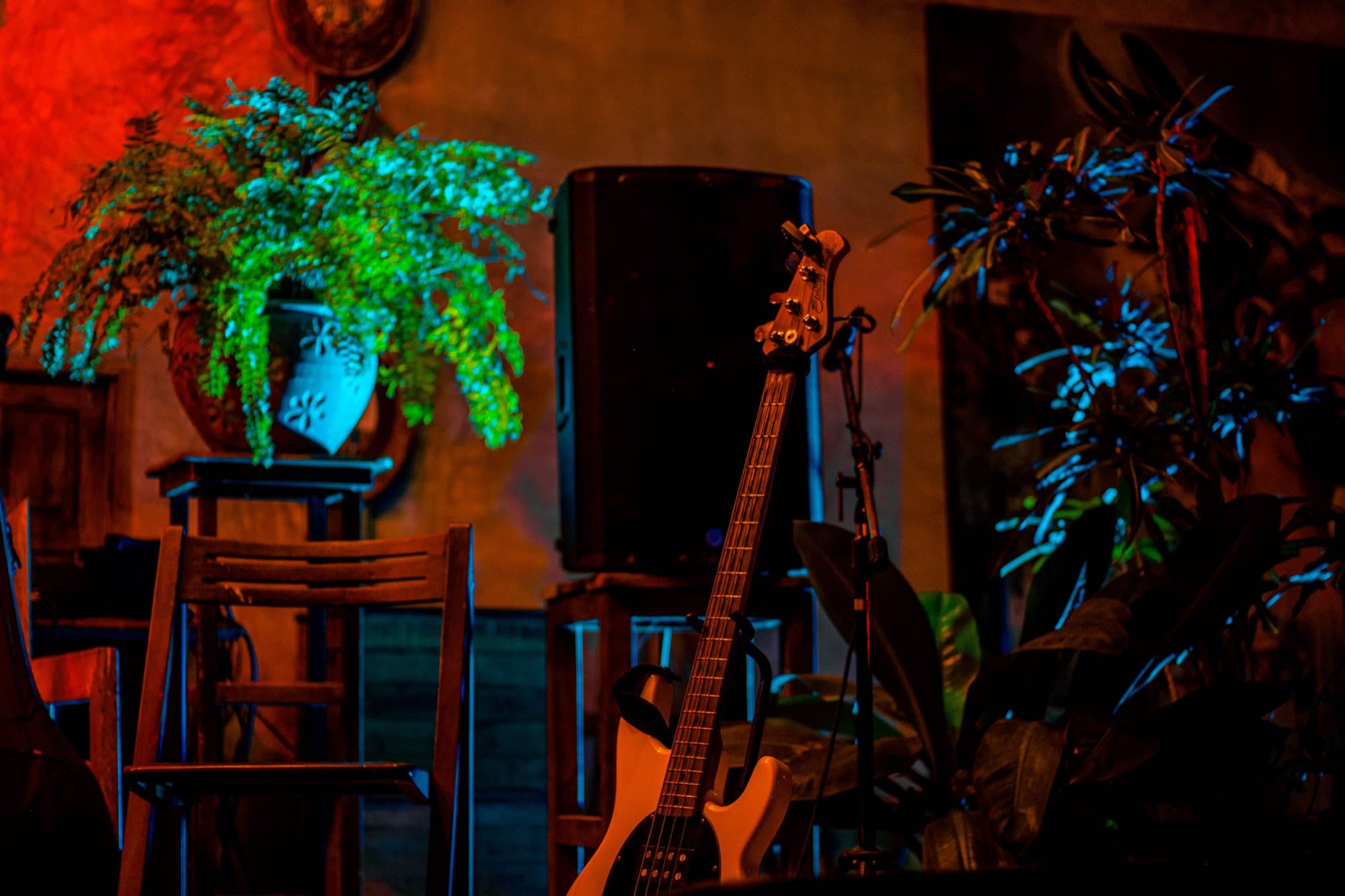 A bass guitar rests on its stand beside a speaker, wooden chairs and hanging plants under coloured light.
