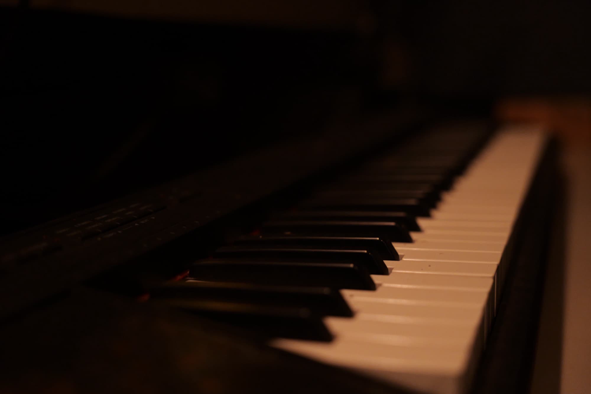 The keys of a stage piano in low warm light.