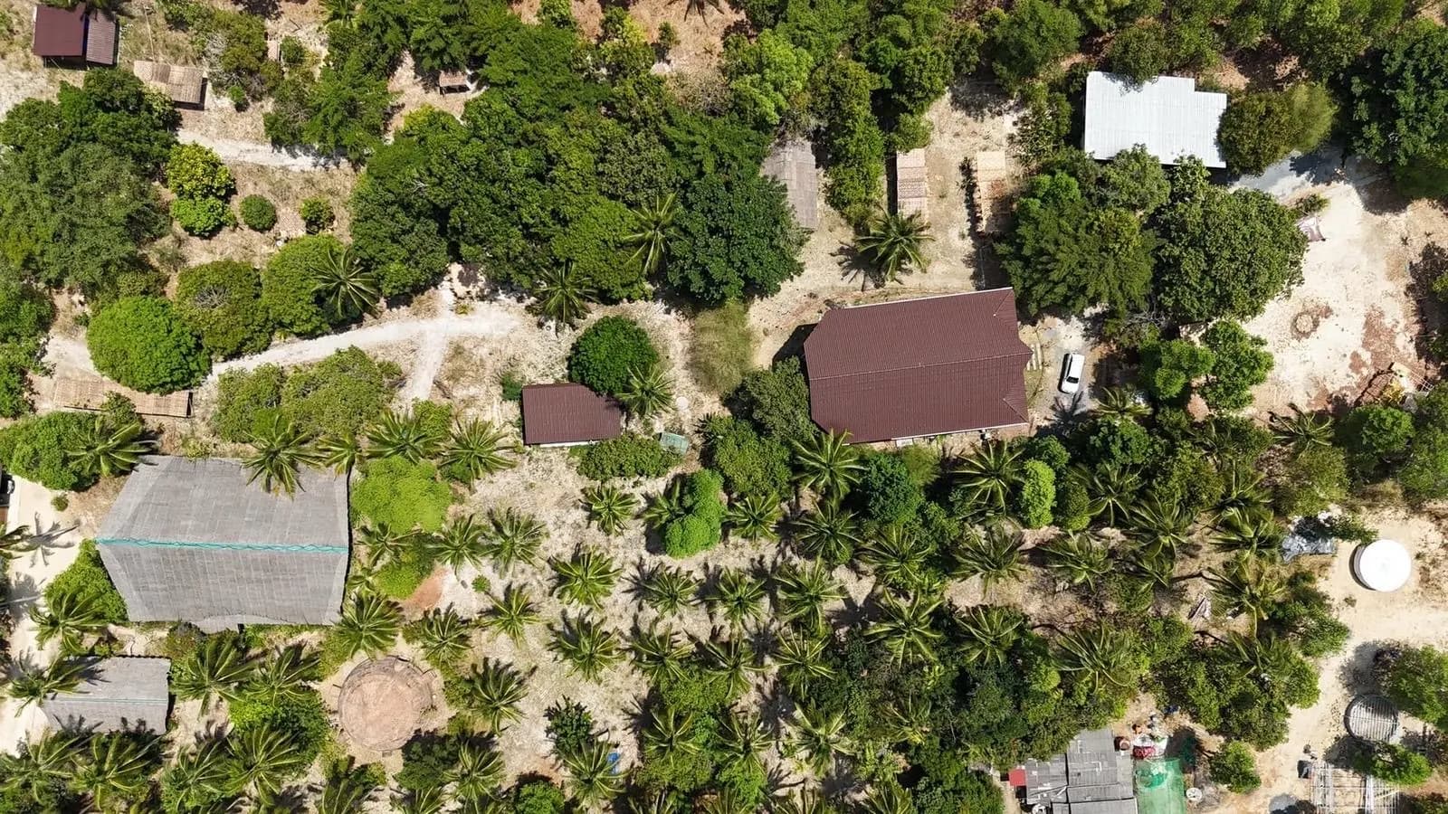 The Stayfly grounds from above: tiled and thatched roofs among coconut palms and trees, with sandy paths between them.