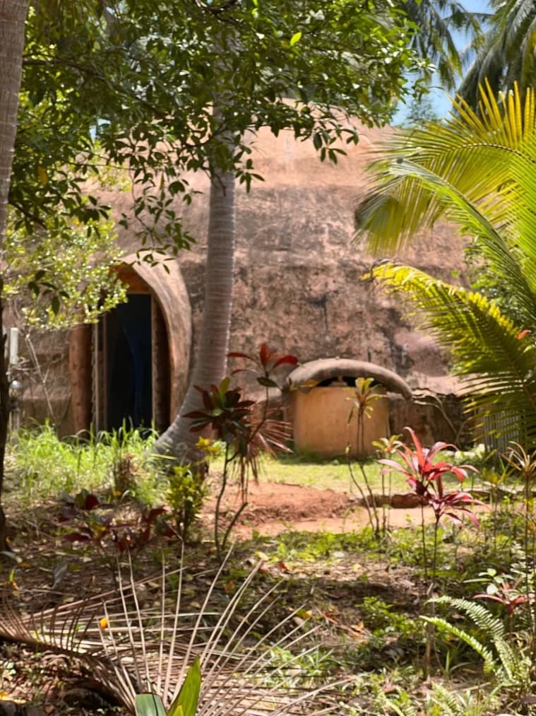 An earth walled dome with a rounded doorway, seen past palm fronds and low planting in daylight.